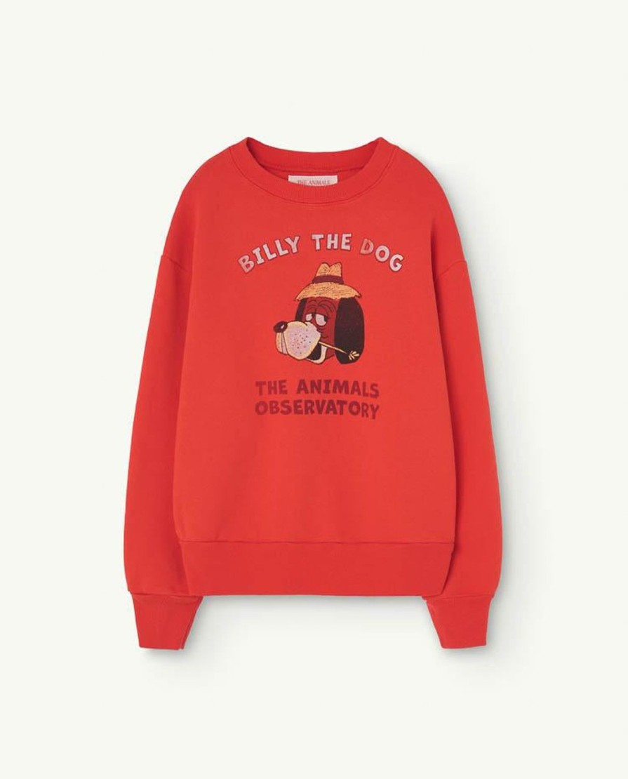 Kind The Animals Observatory | Rode Beer Sweatshirt