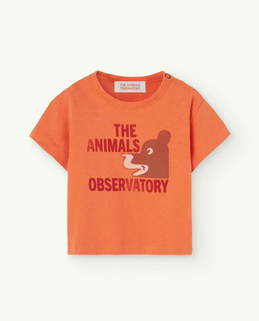 Baby The Animals Observatory | Oranje Haan Baby T-Shirt