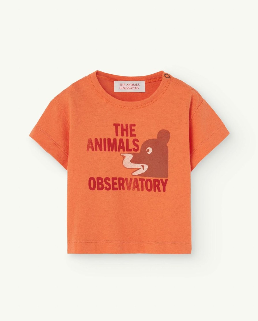 Baby The Animals Observatory | Oranje Haan Baby T-Shirt