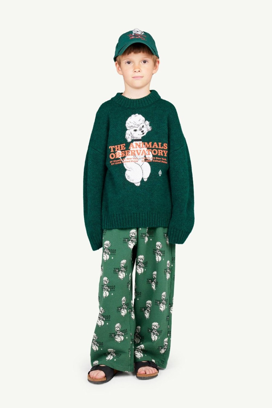 Kind The Animals Observatory | Oversized Joggingbroek Van Gerecyclede Groene Poedel Camaleon