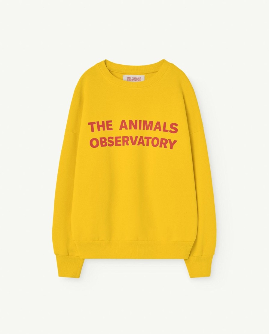 Kind The Animals Observatory | Geel Leo Kindersweatshirt