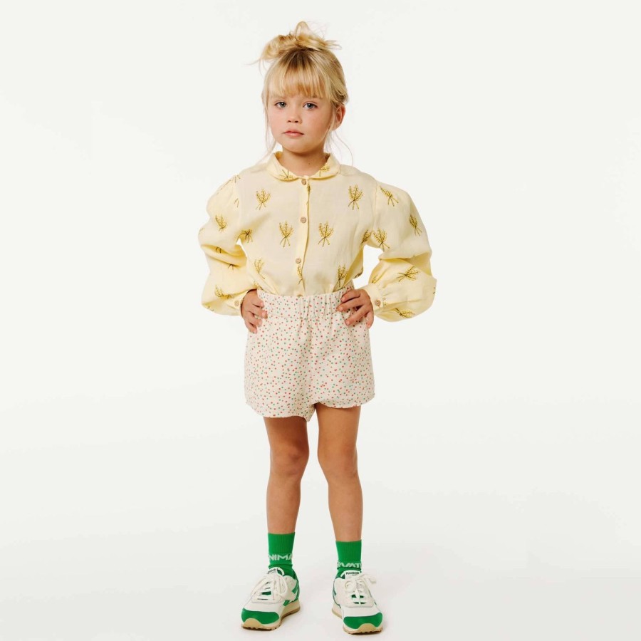 Accessoires The Animals Observatory | Reebok X The Animals Observatory Klassiek Nylon Groen Kind