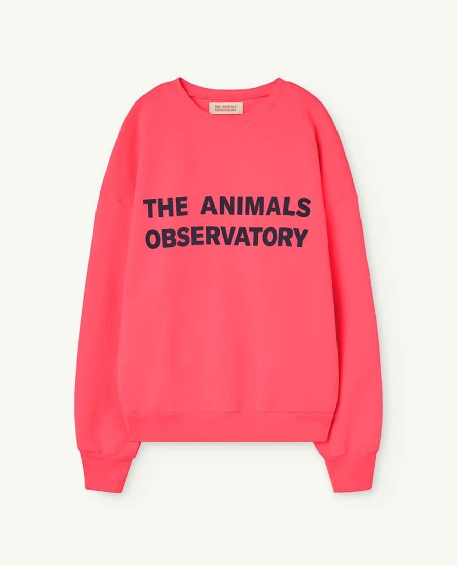 Vrouw The Animals Observatory | Roze Perseus Volwassen Sweatshirt