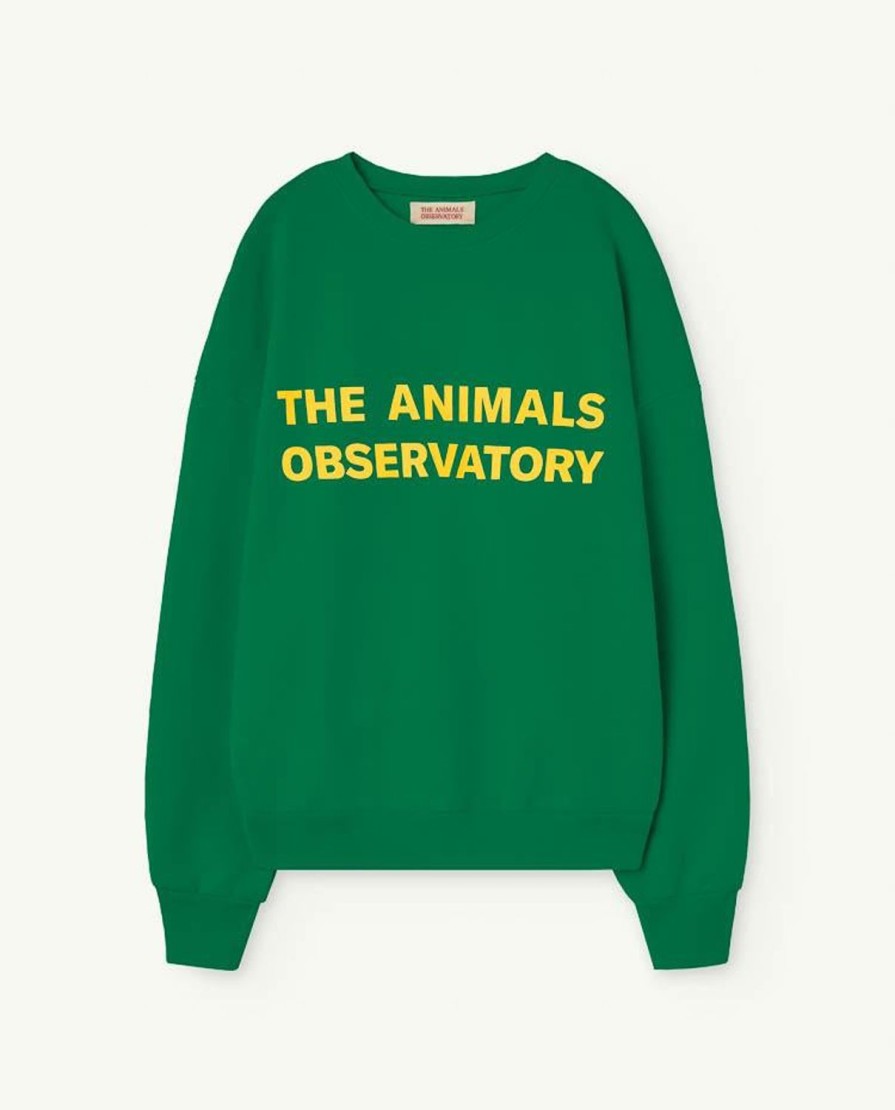 Vrouw The Animals Observatory | Groene Leo Volwassen Sweatshirt