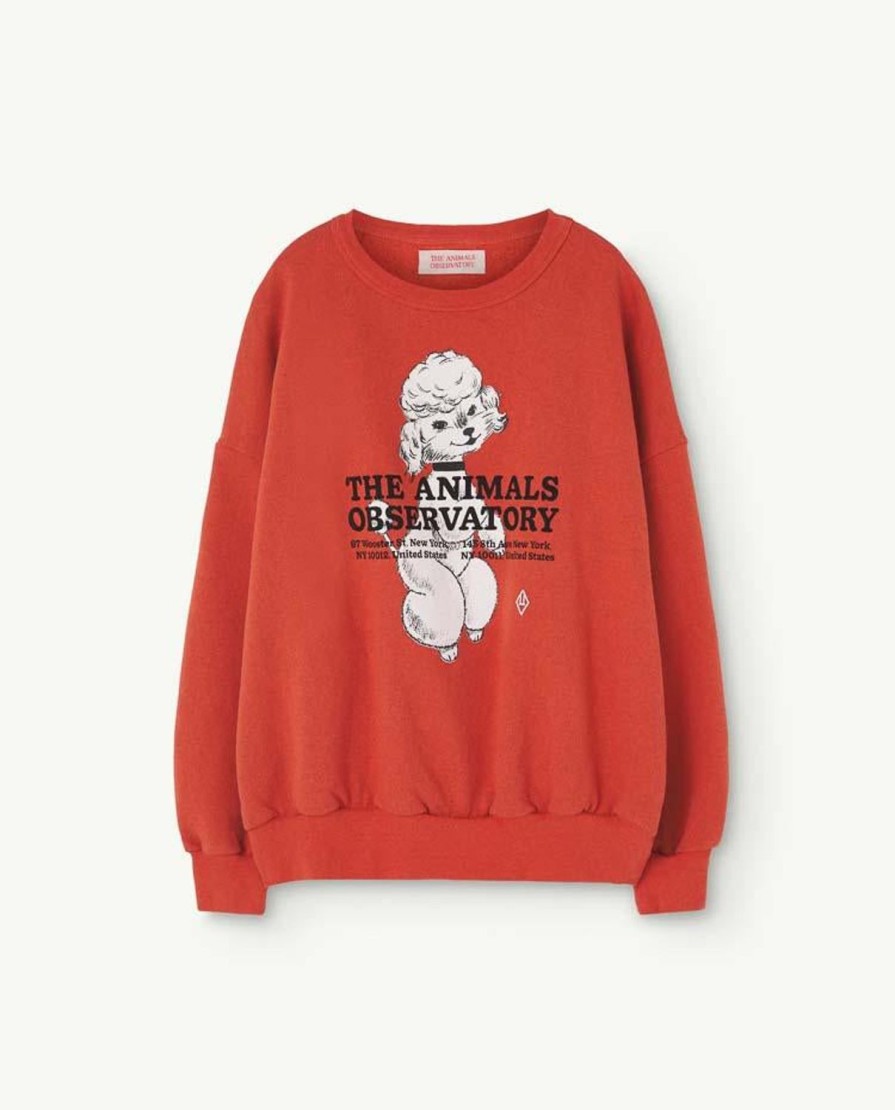 Kind The Animals Observatory | Gerecycled Rood Big Bear Oversized Sweatshirt