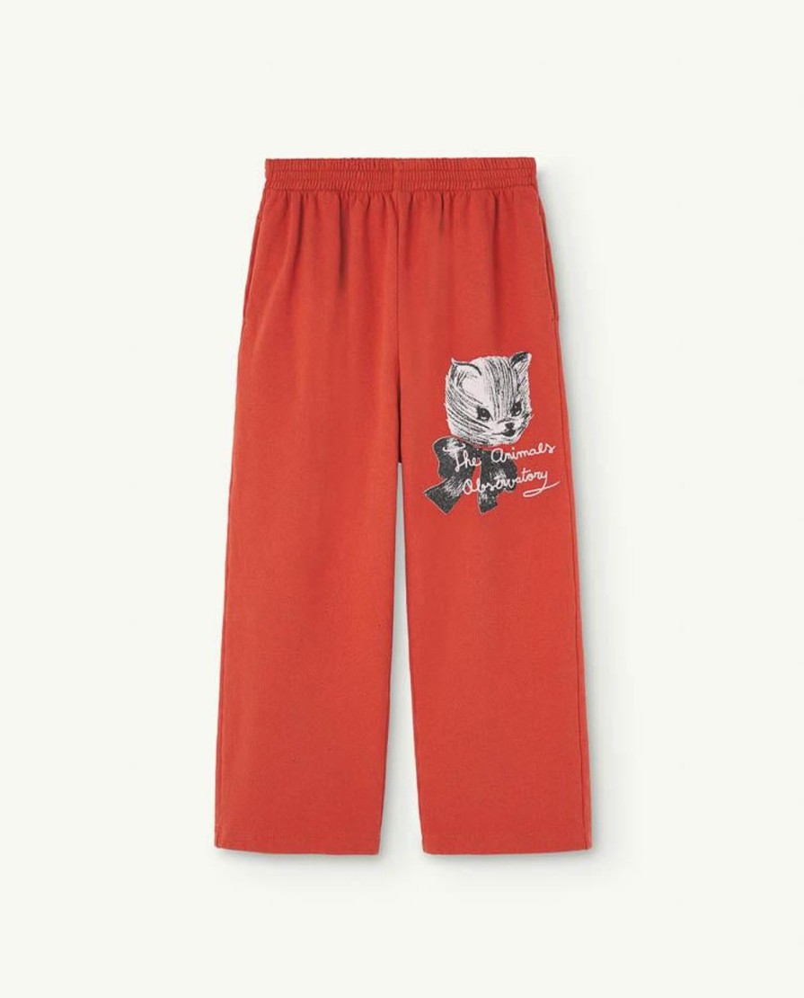 Kind The Animals Observatory | Oversized Joggingbroek Van Gerecycled Rood Kitten Camaleon