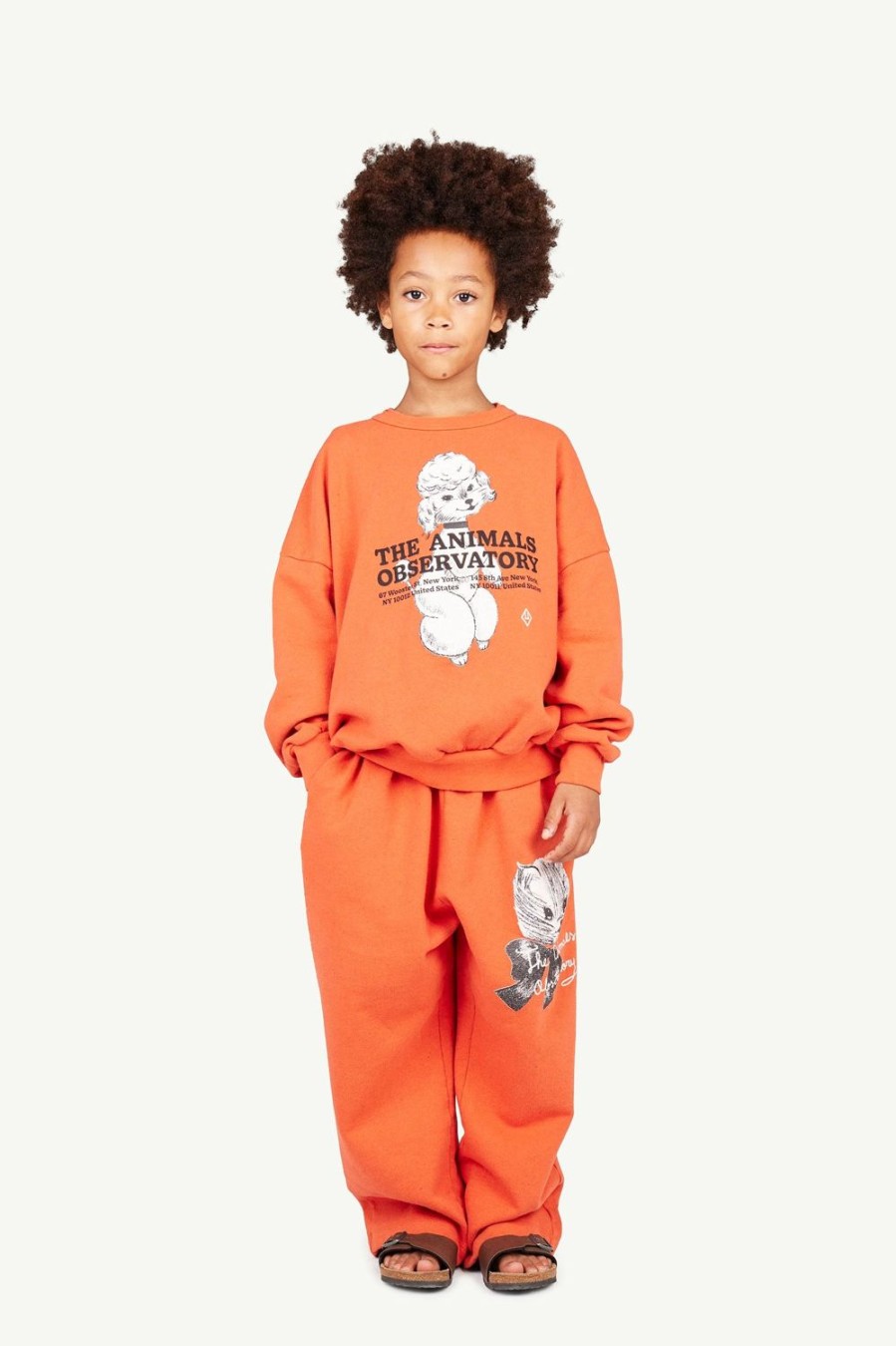 Kind The Animals Observatory | Oversized Joggingbroek Van Gerecycled Rood Kitten Camaleon