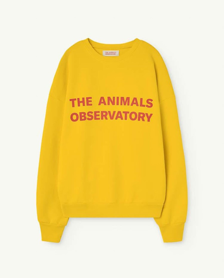 Vrouw The Animals Observatory | Geel Leo Volwassen Sweatshirt