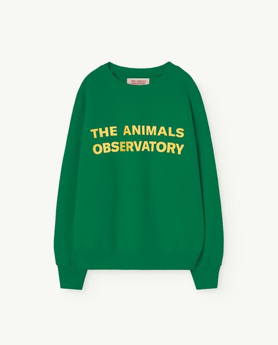 Kind The Animals Observatory | Groene Leo Kindersweatshirt